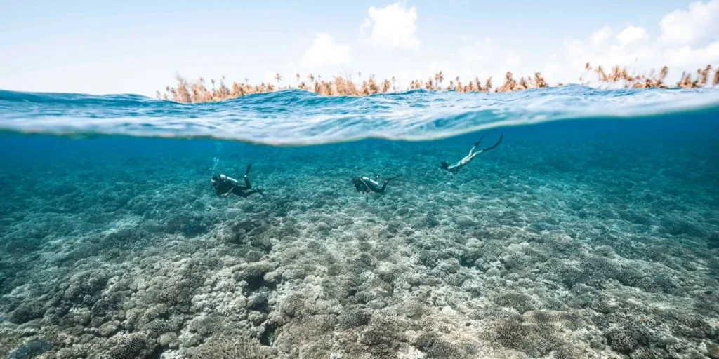 Fakarava, Tuamotu, French Polynesia