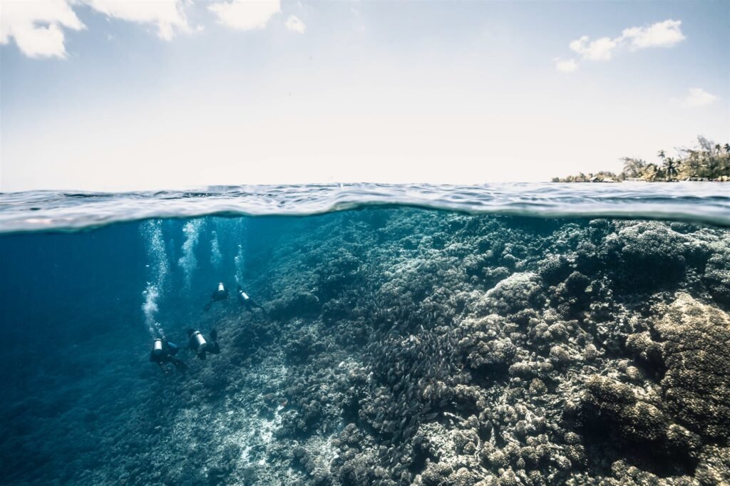 Exploration Diving