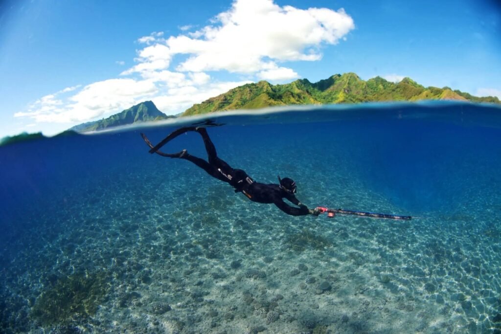 Private Spearfishing